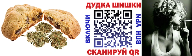 Купить закладки  Котлас  Печенье с ТГК марихуана 